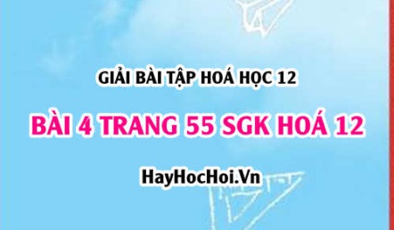 Giải bài 4 trang 55 SGK Hoá 12: Tính chất hoá học của Peptit và Protein